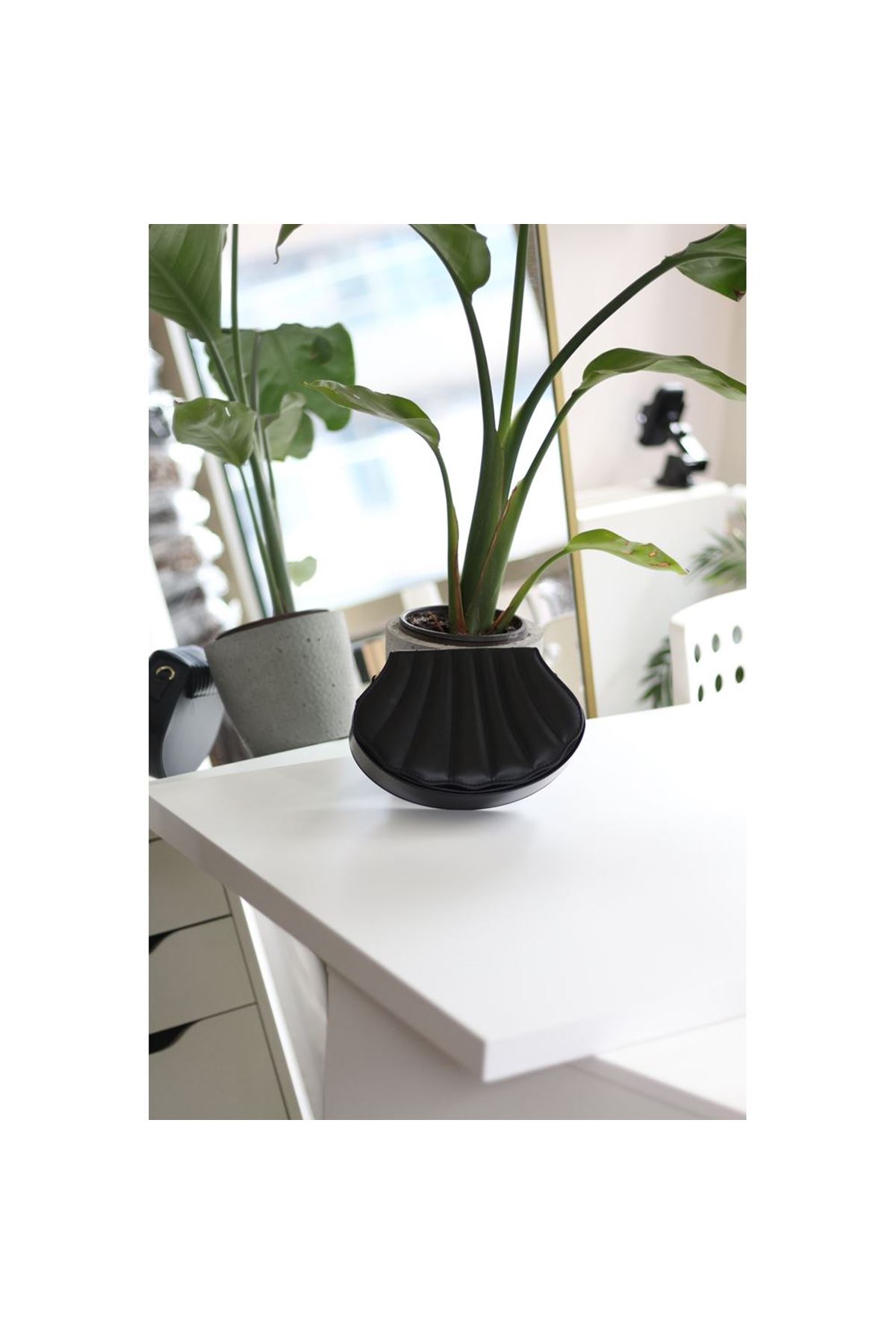 Kadın Siyah İstiridye Kalıp Zincirli El Omuz Çantası