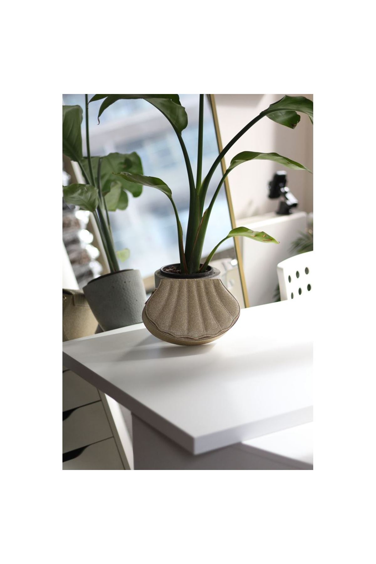 Kadın Gold Simli İstiridye Kalıp Zincirli El Omuz Çantası