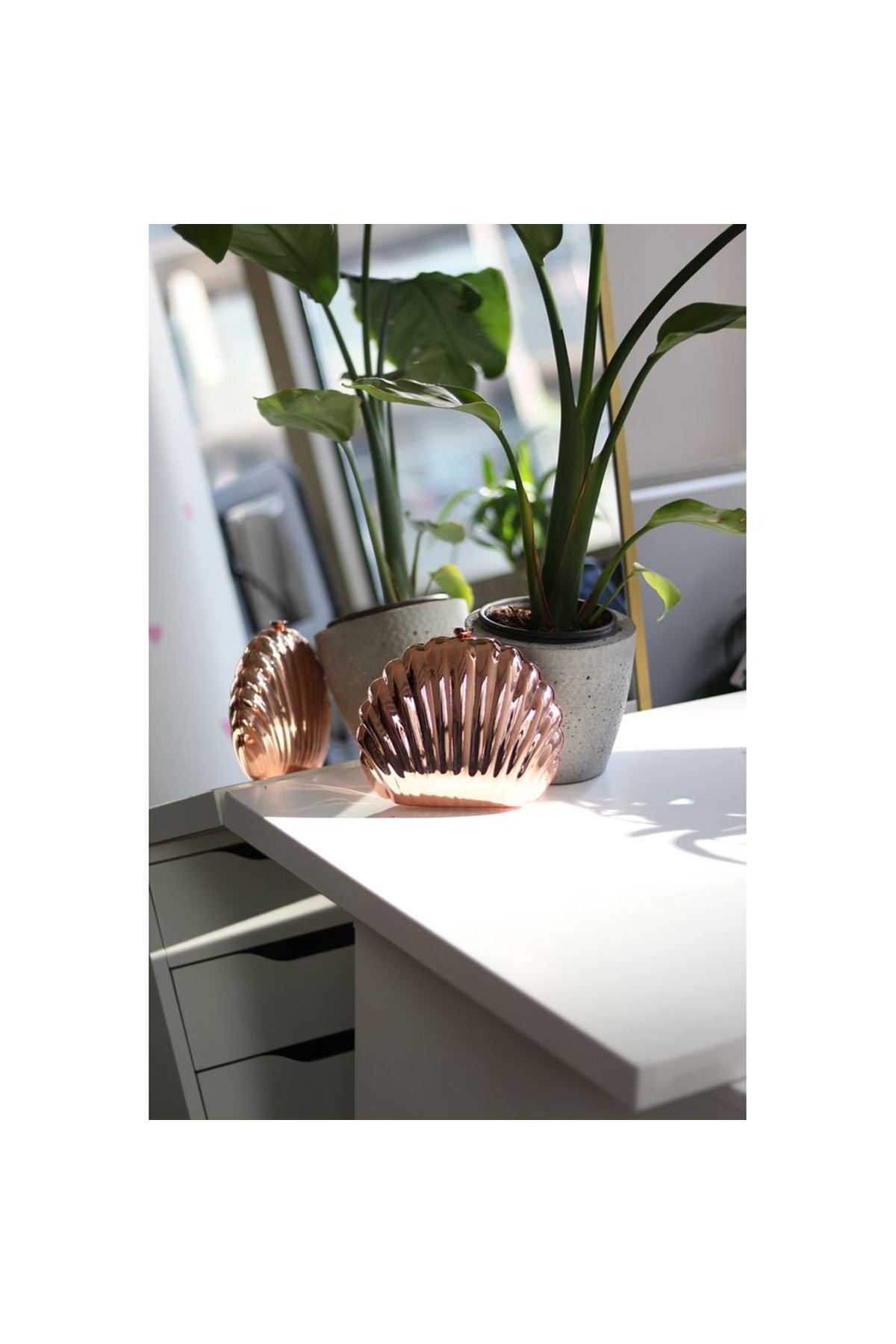 Kadın Bakır Metal Istiridye Formlu Zincir Detaylı Abiye Çanta