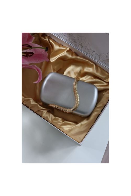 Silver yılan aksesuar detaylı kasa zincirli abiye çanta