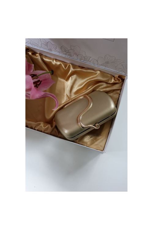 Gold yılan aksesuar detaylı kasa zincirli abiye çanta