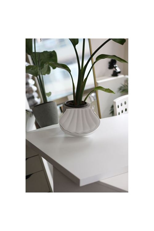 Kadın Beyaz İstiridye Kalıp Zincirli El Omuz Çantası