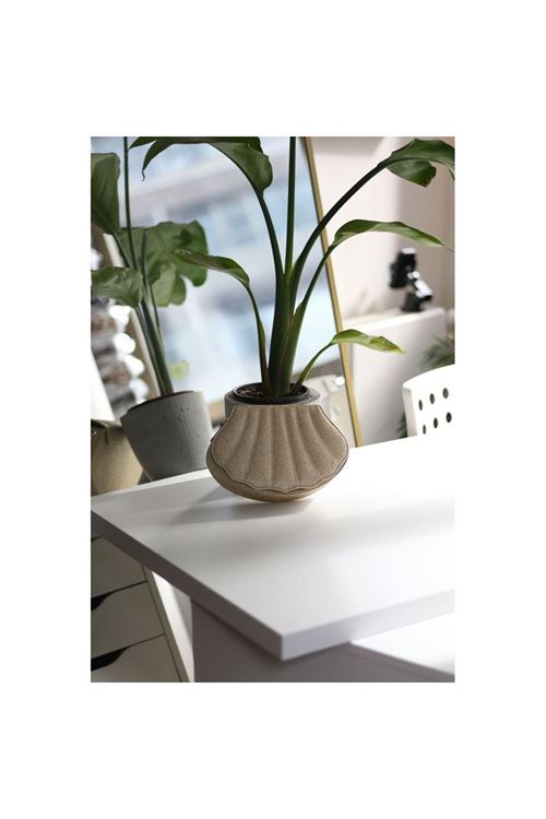 Kadın Gold Simli İstiridye Kalıp Zincirli El Omuz Çantası