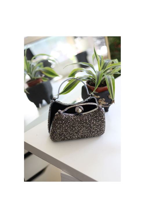 Kadın Platin İnci Taşlı Taşlı Tutma Detaylı Abiye Çanta