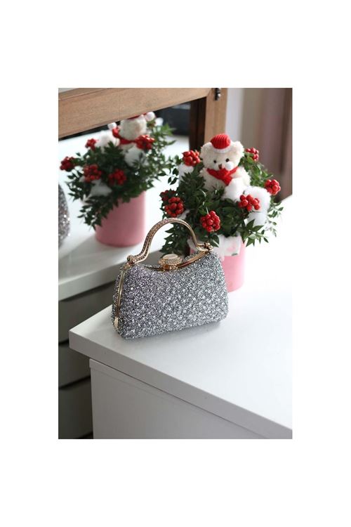 Kadın Silver Taşlı Tutma Detaylı Abiye Çanta