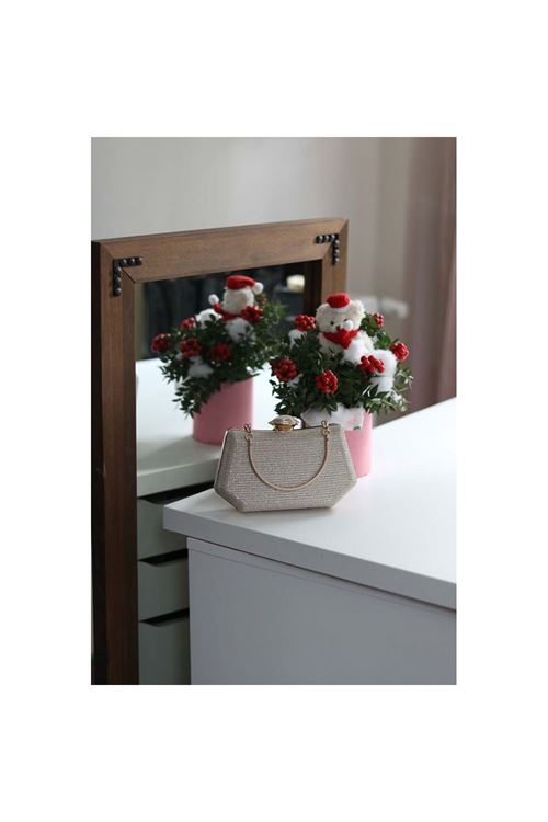 Kadın Gold Tutma Detaylı Abiye Çanta