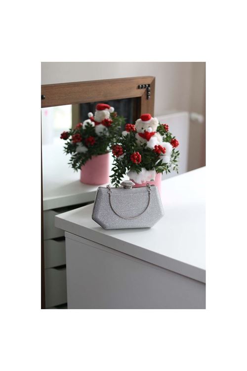 Kadın Silver Tutma Detaylı Abiye Çanta