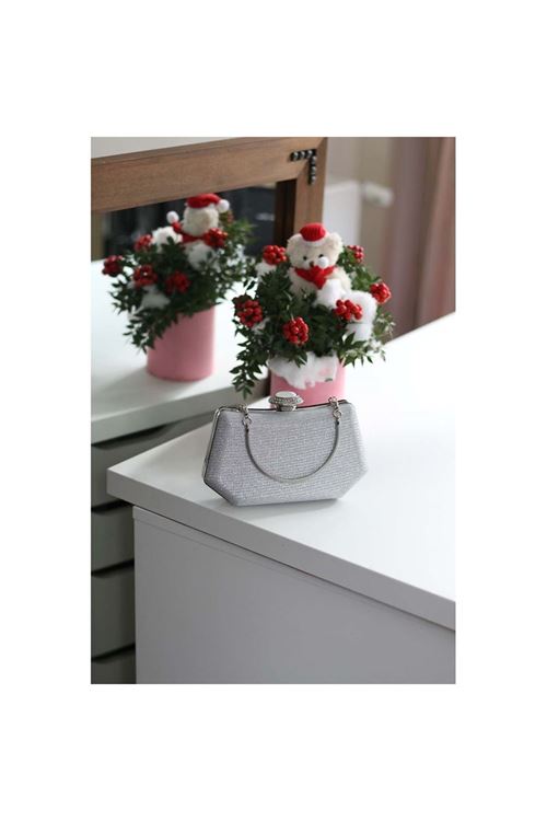 Kadın Silver Tutma Detaylı Abiye Çanta