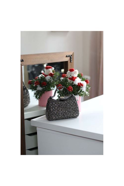 Kadın Platin Taşlı Tutma Detaylı Abiye Çanta